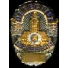 LAPD LOS ANGELES, CA POLICE DEPARTMENT DETECTIVE BADGE PIN